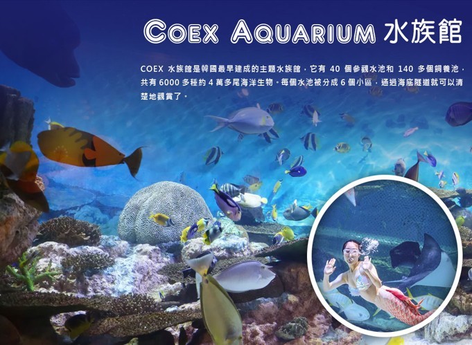 COEX 水族館+美人魚秀(全韓國最大水族館)