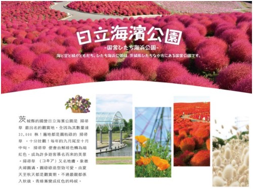 秋風紅葉～奧入瀨溪+十和田湖+大內宿古街+松島遊船+阿武隈洞+溫泉美食七日~入住四晚溫泉飯店(國泰)